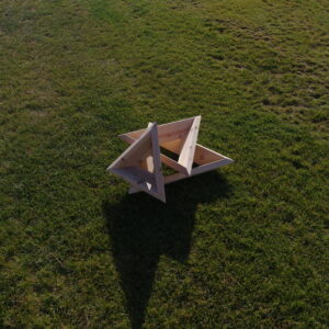 Cedar raised strawberry Clean